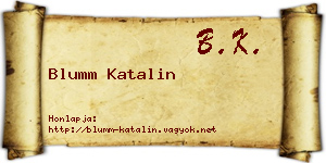 Blumm Katalin névjegykártya